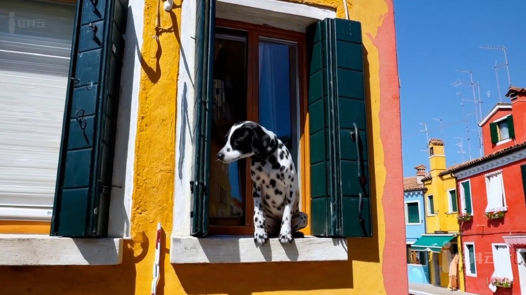 OpenAI文生短视频模型Sora生成的视频39-italian-pup意大利小狗