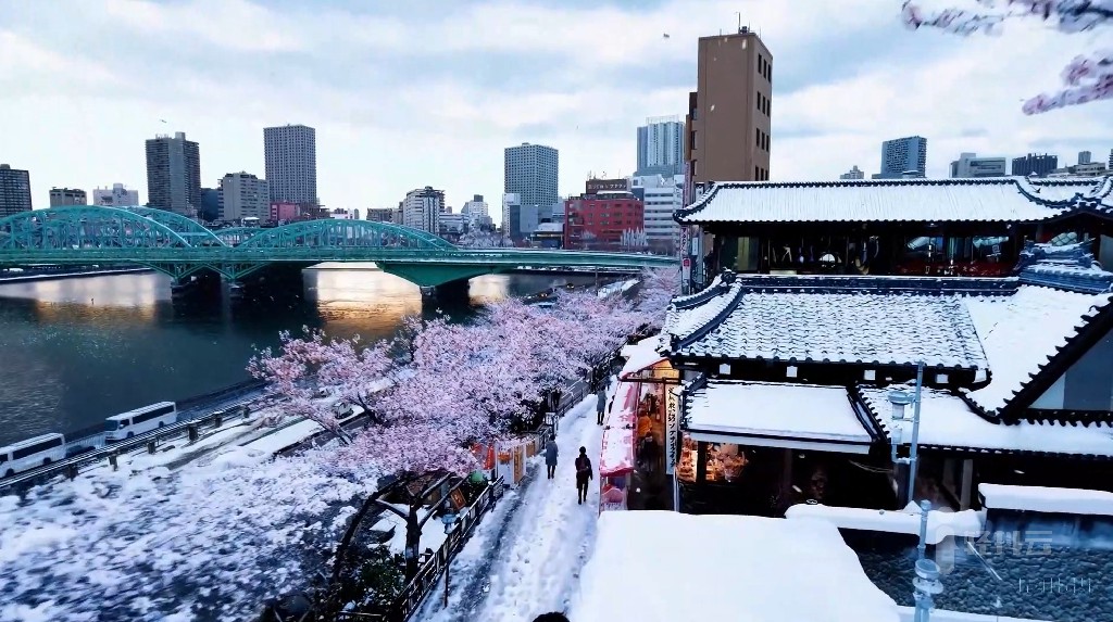 OpenAI文生短视频模型Sora生成的视频27-tokyo-in-the-snow雪中的东京