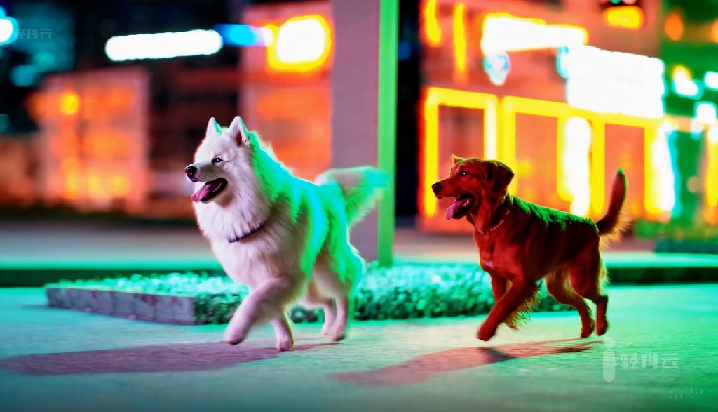 OpenAI文生短视频模型Sora生成的视频47-dogs-downtown市中心的狗